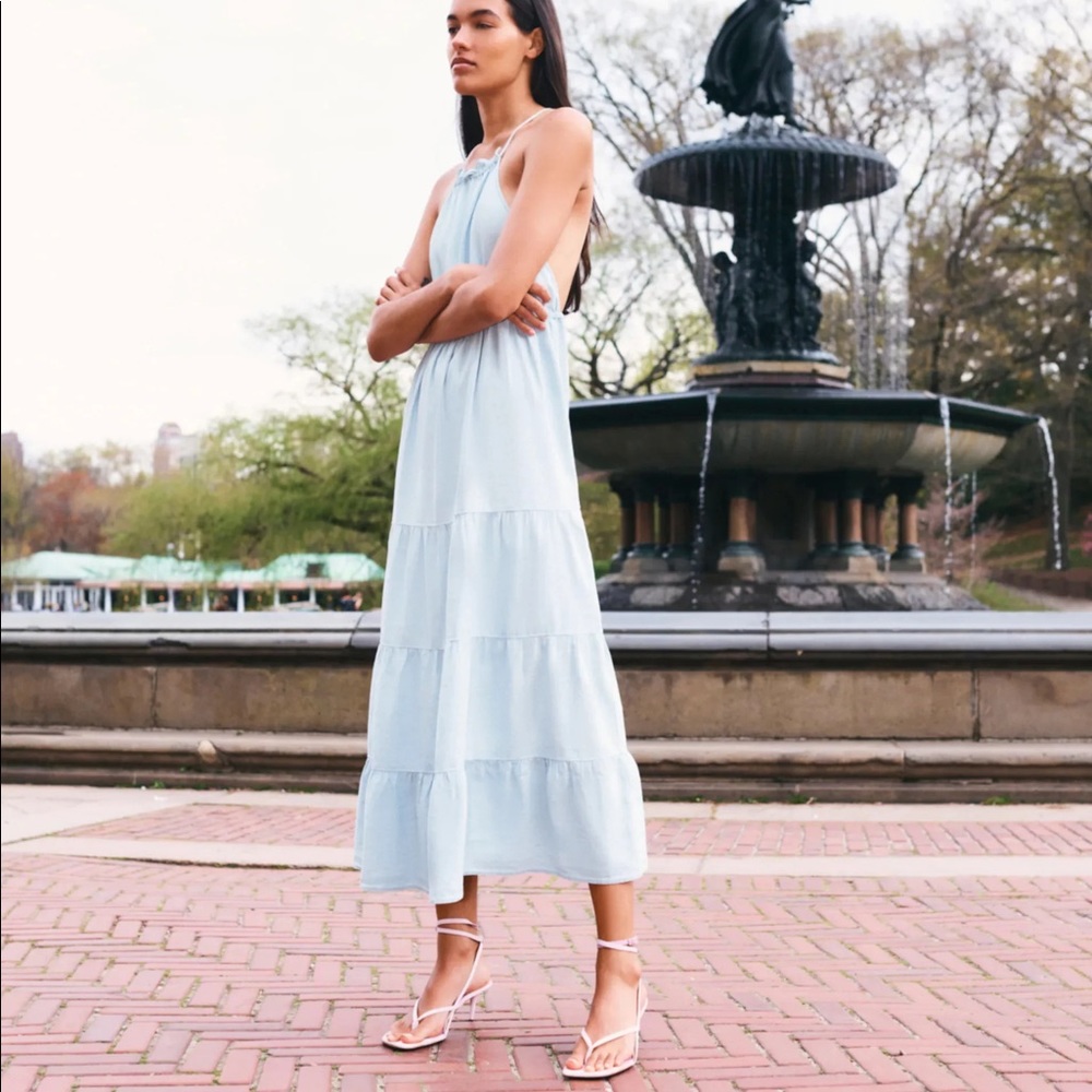 NWT Zara midi sexy back dress